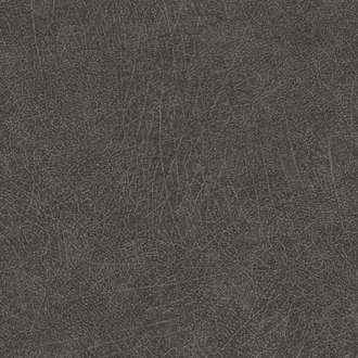 Skin 300516