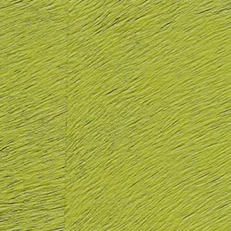 Natives CV 101 19
