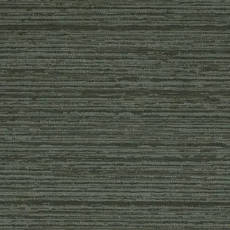Raffia 14 Fossil