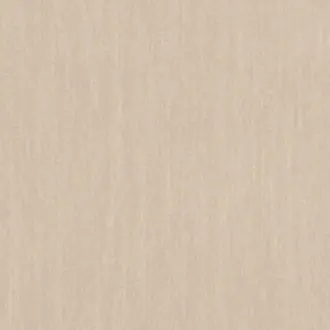 Plains 300696