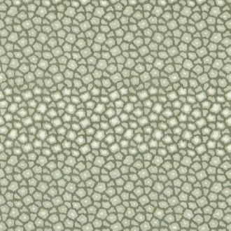 Loam 113296