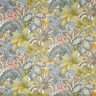 Canopy 2813-502