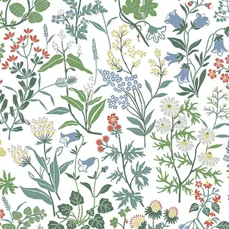 Flora 4180