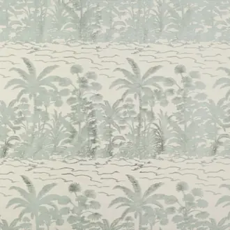 Coconut Palm JT013903-001