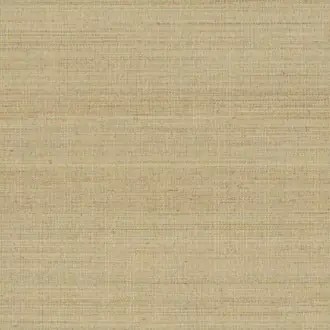 Abaca ABA22