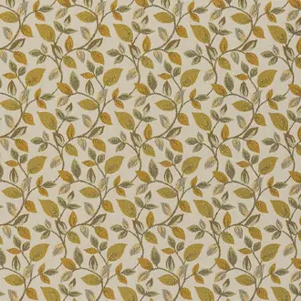 Vercelli FR Ochre