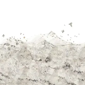 Paper Mountains R13871