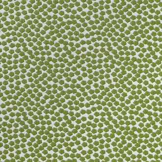 Bubble 10591_76
