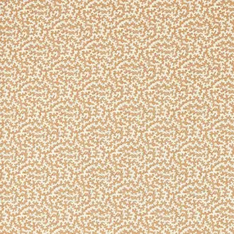 Truffle 227203