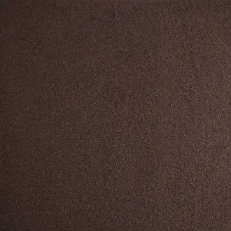 Enver Mocha