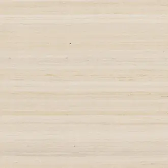 Albertine FP640002