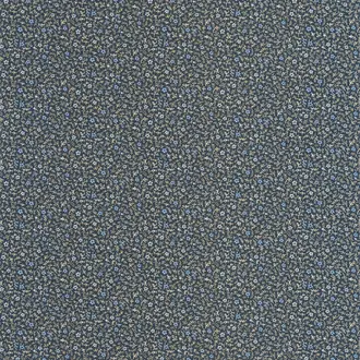 Myosotis 89236505