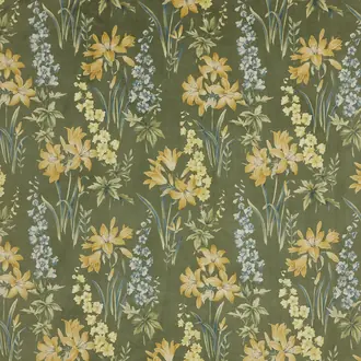 Botanical Studies Olive
