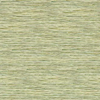 Xan W0192-04