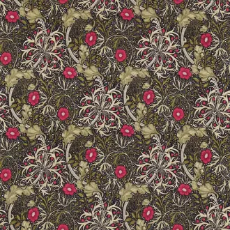 Seaweed 224471