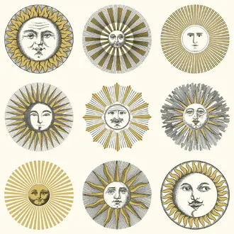 Soli 123-1002