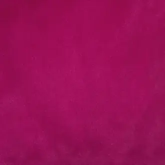 Alaska Fuchsia
