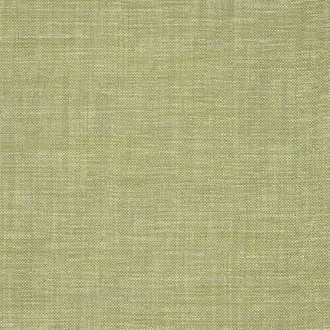 Cosia FDG2267-07