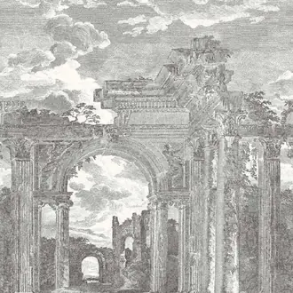 Rovine 42560A