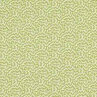 Truffle 227204