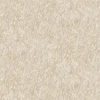 Trento AE02627