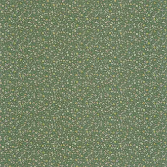 Myosotis 89237414