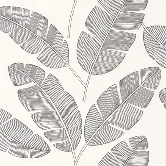 Banana Tree 10109 90 07