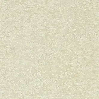 Weathered Stone Plain 312644