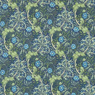 Seaweed 224472