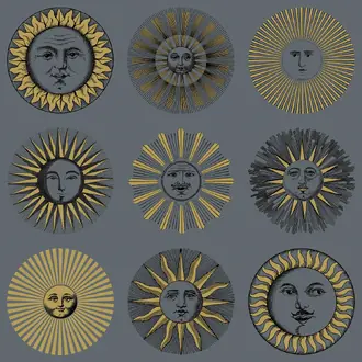 Soli 123-1004