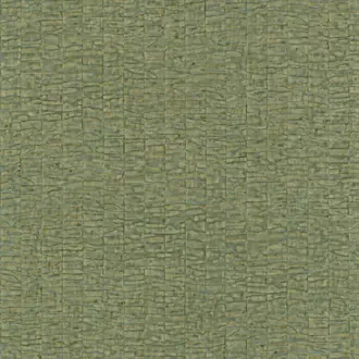 Caiman 7407 10 38
