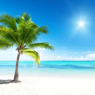 Paradise R10391