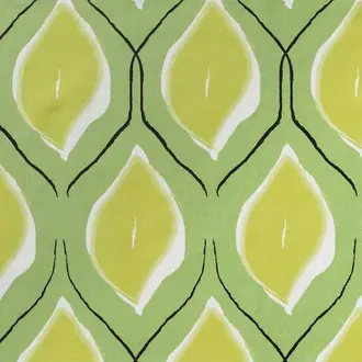 Citrus 10603_76