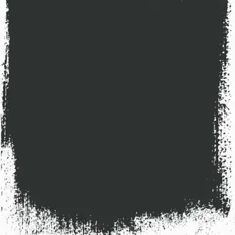 Black Ink No 156 Paint