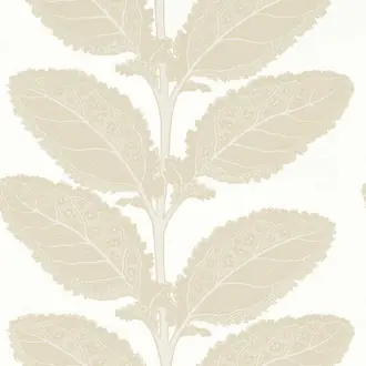 Lacinato T12041