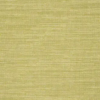Cosia FDG2267-08