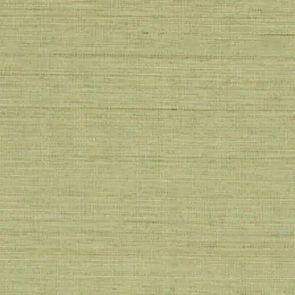 Abaca ABA24