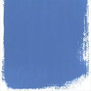 Bluebell No 55 Paint