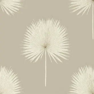 Fan Palm 216637