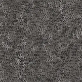 Skin 300525