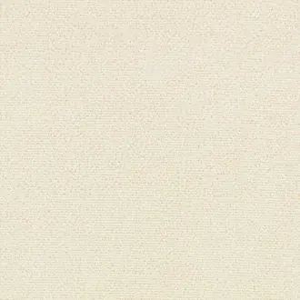 Arenite K5331-01