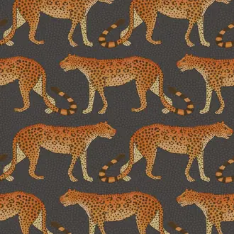 Leopard Walk 109-2008