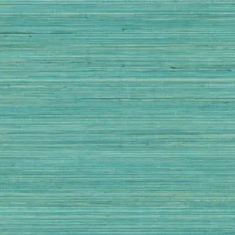 Coiba RM 110 47