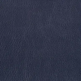 Marlborough Navy