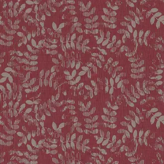 Robino FR 1526-555