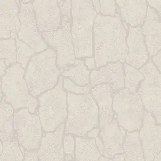 Skin 300530