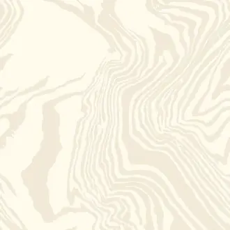 Marble 113185