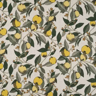 Orange Grove 8341-01