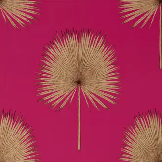 Fan Palm 216638