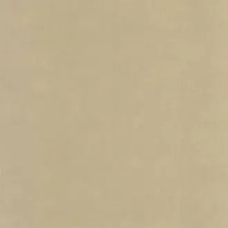 Etamine 200251919